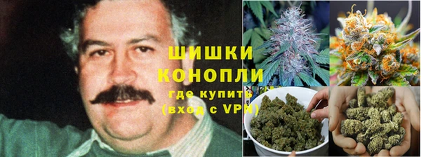 прущие крисы Нефтегорск